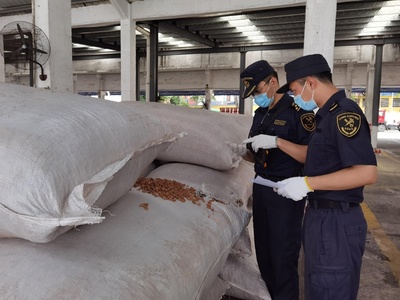 老港海關查獲6.3噸禁入固體廢物，軟木制品制造原料藏隱患